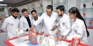 Job Homeopathy Doctors