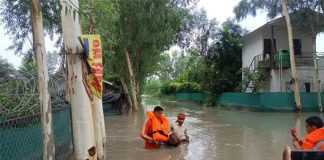 NDRF Rescues Expensive Bull