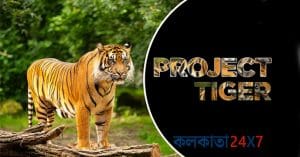 Project Tiger