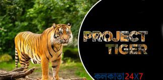 Project Tiger