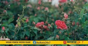 Rain india