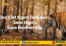 Tigers adopt: SBI বাঘ পুষছে! ব্যাংক নিল দত্তক Tigers adopt SBI