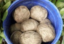 Loksabha election 2024: ভোটের দিন সকালে কংগ্রেস নেতার বাড়ি লক্ষ্য করে বোমা, মুর্শিদাবাদে উত্তেজনা তিন সপ্তাহ কেটে গেছে পঞ্চায়েত ভোট। অশান্তি থামেনি এখনও। বীরভূমে (Birbhum) সিউড়ির আলুন্দা পঞ্চায়েতের ধল্লা গ্রামে ফের উদ্ধার বোমা ভর্তি ড্রাম।