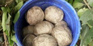 তিন সপ্তাহ কেটে গেছে পঞ্চায়েত ভোট। অশান্তি থামেনি এখনও। বীরভূমে (Birbhum) সিউড়ির আলুন্দা পঞ্চায়েতের ধল্লা গ্রামে ফের উদ্ধার বোমা ভর্তি ড্রাম।