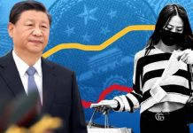 Chinese Economy: চিন ধ্বংস হওয়ার ৭ অর্থনৈতিক সূচকের সংকেত Chinese Economy