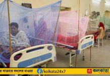 Malaria: কলকাতায় ডেঙ্গুর পর ম্যালারিয়ায় আক্রান্ত হয়ে হাসপাতালে ভর্তি প্রায় ৯