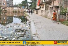 dengue outbreak bengal