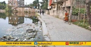 dengue outbreak bengal
