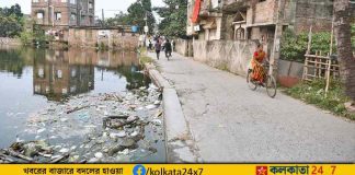 dengue outbreak bengal