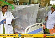 Dengue : ডেঙ্গু মোকাবিলায় স্বাস্থ্য ভবনে বৈঠক