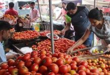 tomato prices
