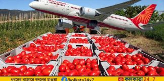 Chandigarh Administrator Enforces Ban on Air Travel and Star Hotel Stays