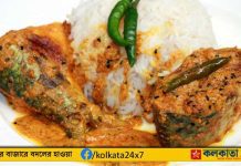 Hilsa Korma Recipe: গরম ভাতের সঙ্গে লোভনীয় ইলিশ কোর্মা Hilsa Korma with hot rice
