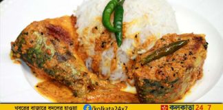 Hilsa Korma with hot rice