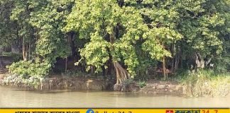 Howrah Botanical Garden