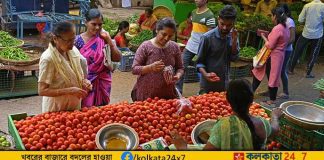 Tomato market india