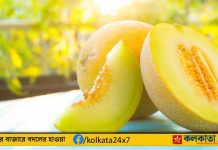 Uzbekistan Festival Showcases Spectacular Display of 50 Yellow Watermelon Varieties