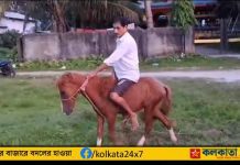 Assam: ট্রাফিক আইনের গেরোয় স্কুটি ছেড়ে ঘোড়া ছোটান বৃদ্ধ Assam Man Trades Scooter for Horse After Frustrating Encounter with Police