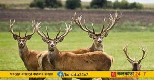 Bengaluru Biological Park