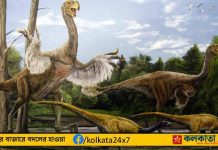 Long-Legged Bird-Like Dinosaur