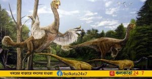 Long-Legged Bird-Like Dinosaur