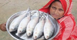 "Kolkata Residents Can Now Buy Fresh Raw Hilsa and Ilish-Related Food Items from the Ilish Online Portal"