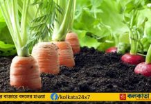 Organic Farming Journey
