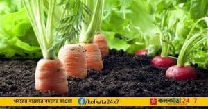 Organic Farming Journey