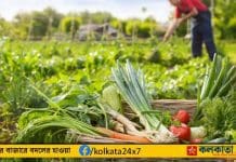 Organic Farming Journey