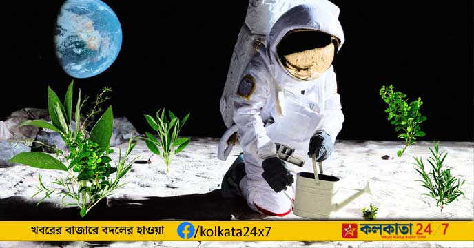 moon Plants in Lunar Soil: চাঁদের মাটিতে গজিয়ে উঠল সবুজ গাছ