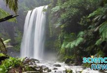 oxygen-is-disappearing-from-rapidly-warming-rivers