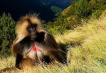 7 years back if you entered these country