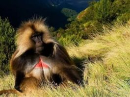 7 years back if you entered these country