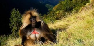 7 years back if you entered these country