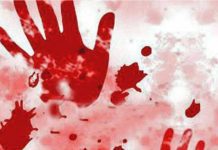 Death minor girl : ধর্ষণ করে খুনের অভিযোগ, চিলেকোঠা থেকে উদ্ধার হলো মৃতদেহ Death in Maynaguri