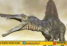 পাখির মতো ঘুমন্ত ডাইনোসর পেলেন বিজ্ঞানীরা