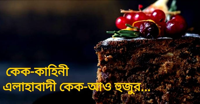 Allahabadi Christmas Cake