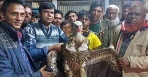Election campaign was going on with vultures, then what happened...