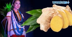 Adi Kekir Ginger