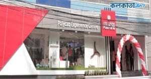 It Department Raids on Polycab