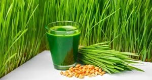 Green Grass Benefits,