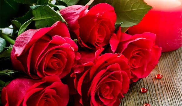 দাসপুরে গোলাপ চাষ প্রশিক্ষণ, ২৫ কৃষক অংশগ্রহণ Happy Rose Day