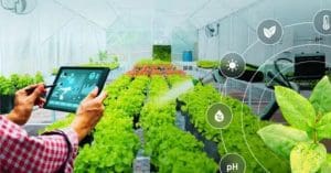 Birsa-Agricultural-Universi