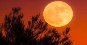 Worm Moon