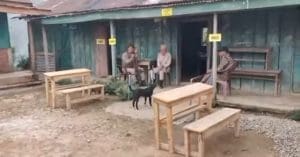Nagaland election