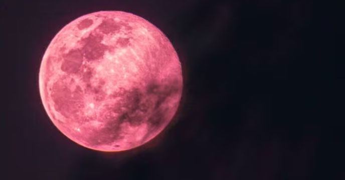 Pink-Moon