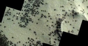 Spiders on Mars