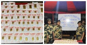 bsf find gold