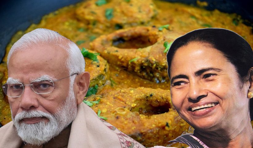Mamata Banerjee says that if Modi wants to eat he will cook fish himself and feed it, নিজে হাতে রান্না করে মাছ খাওয়াবেন, মোদীকে নেমন্তন্ন মমতার
