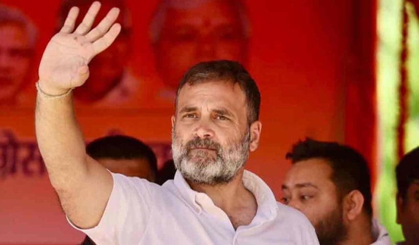 Congress MP Rahul Gandhi to give up wayanad seat keep Raebareli, পারিবারিক ঘাঁটিতে জয় পেতেই 'দুঃসময়ের আশ্রয়' ওয়ানাডকে বিদায় রাহুল গান্ধীর